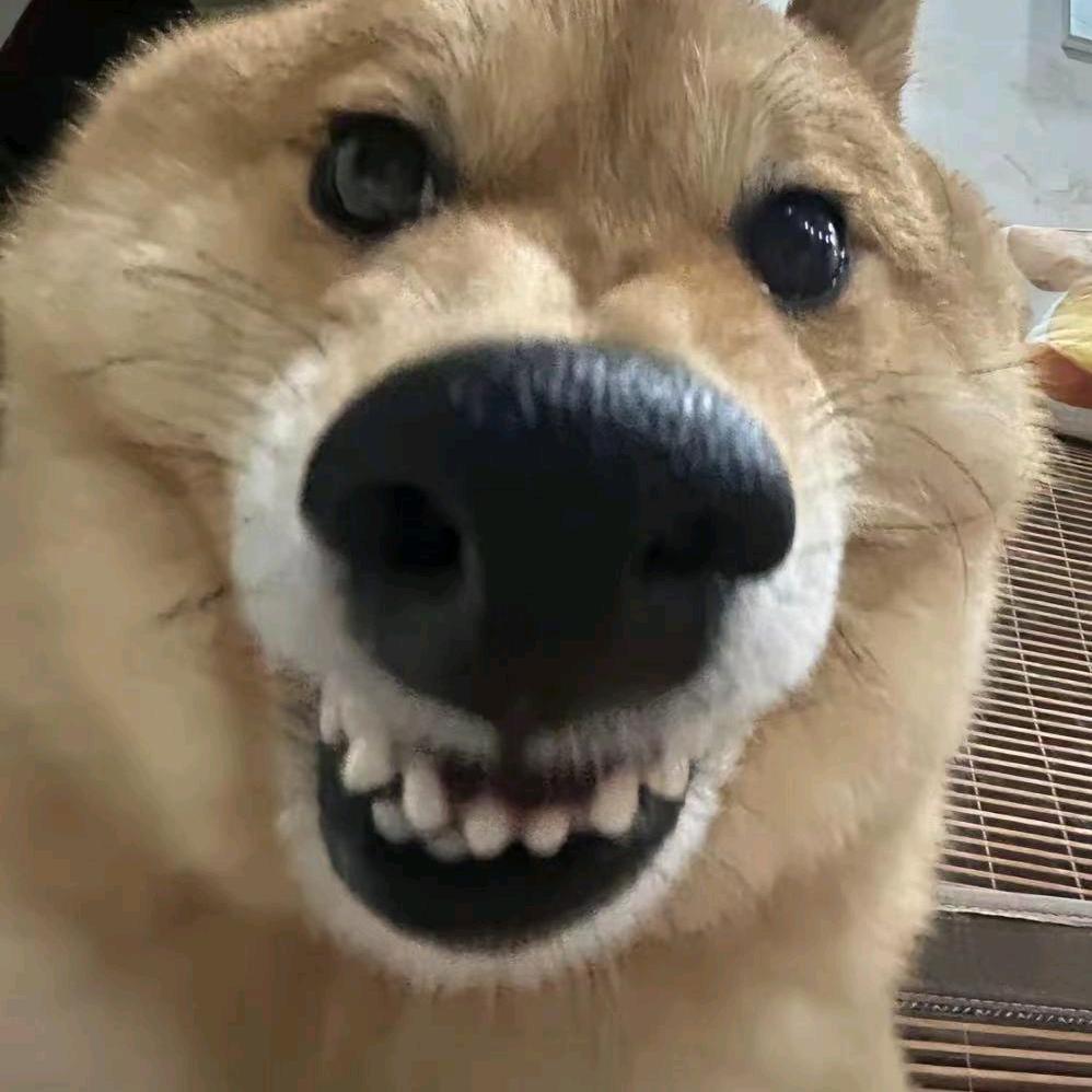 老9️⃣