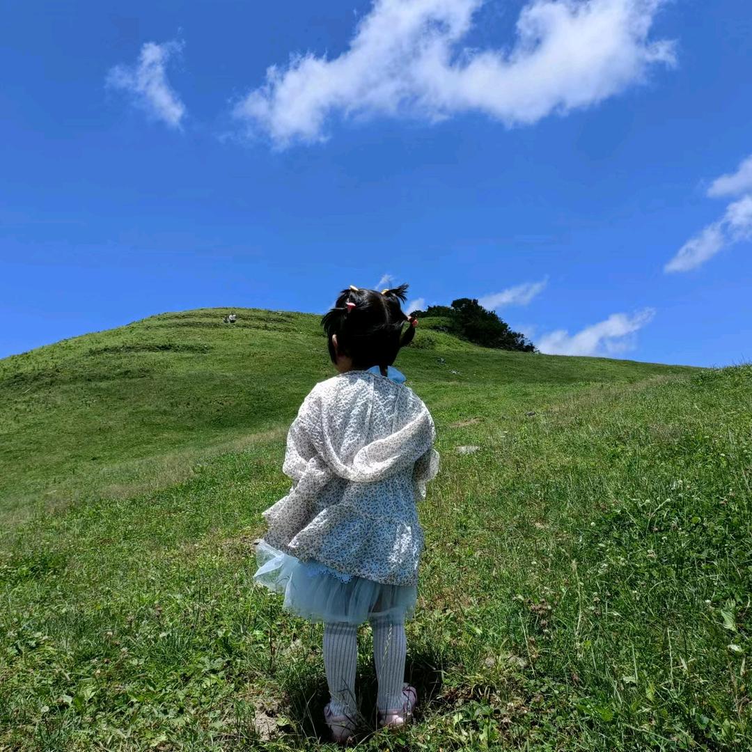 虞城园艺地瓜