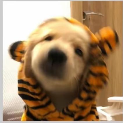 hhhhhhhhhhhh