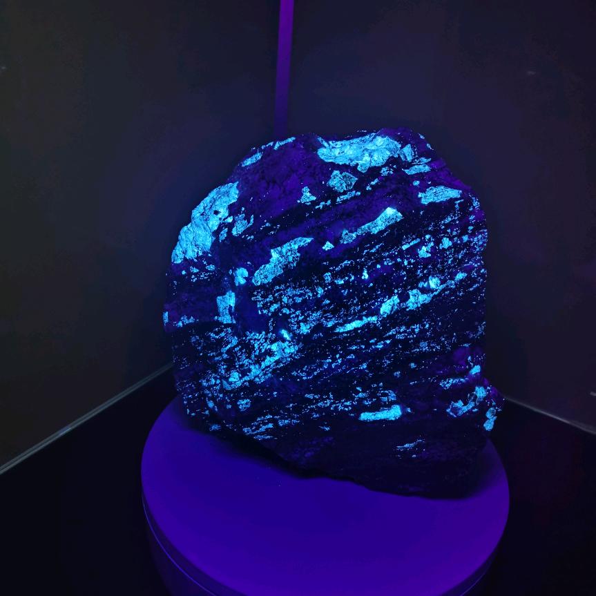 🔥火炎焱燚🔥