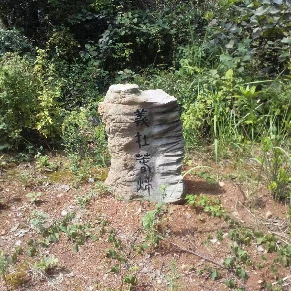 平卫相识就是缘