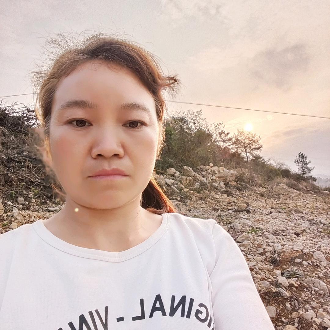 李子姐
