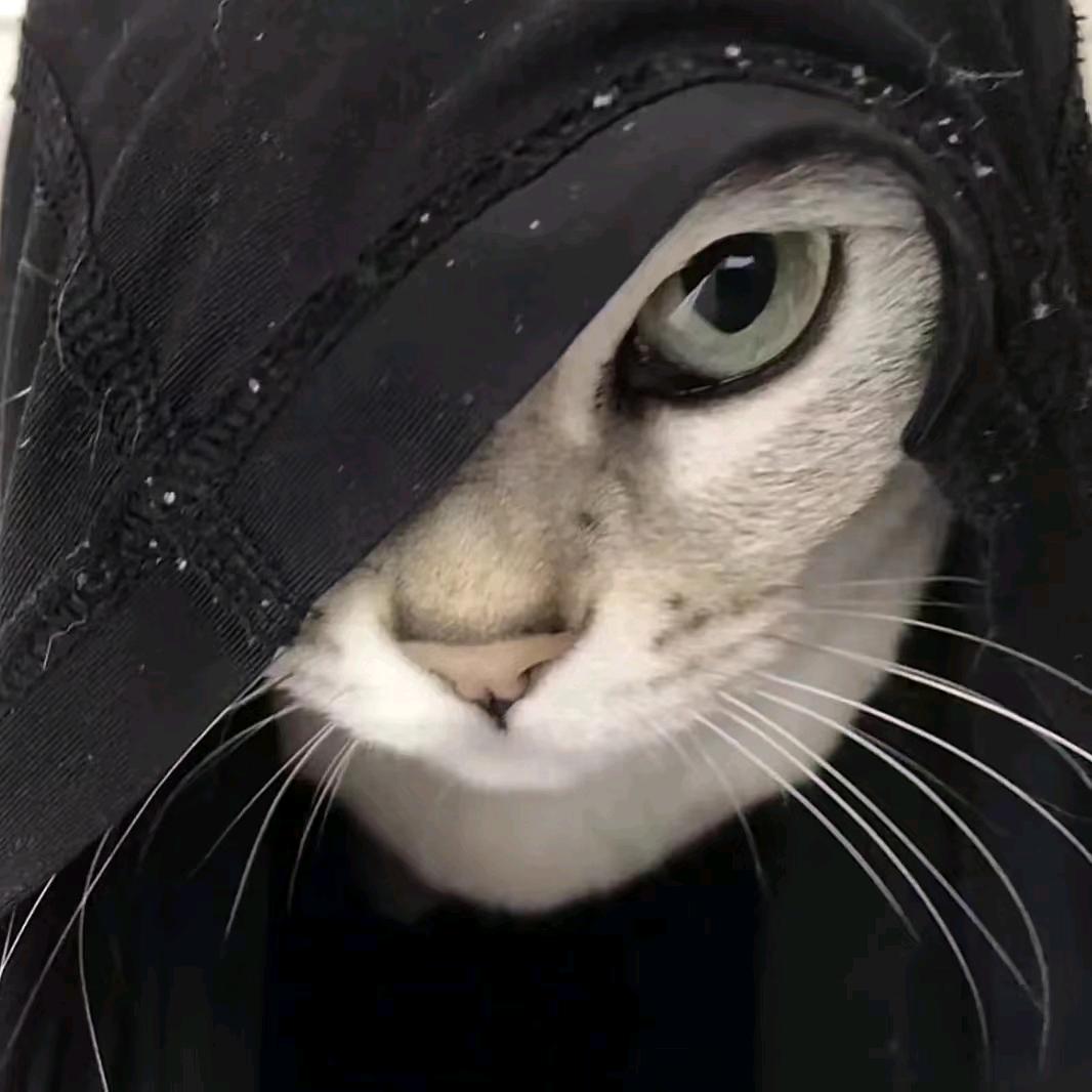 阿辉丷