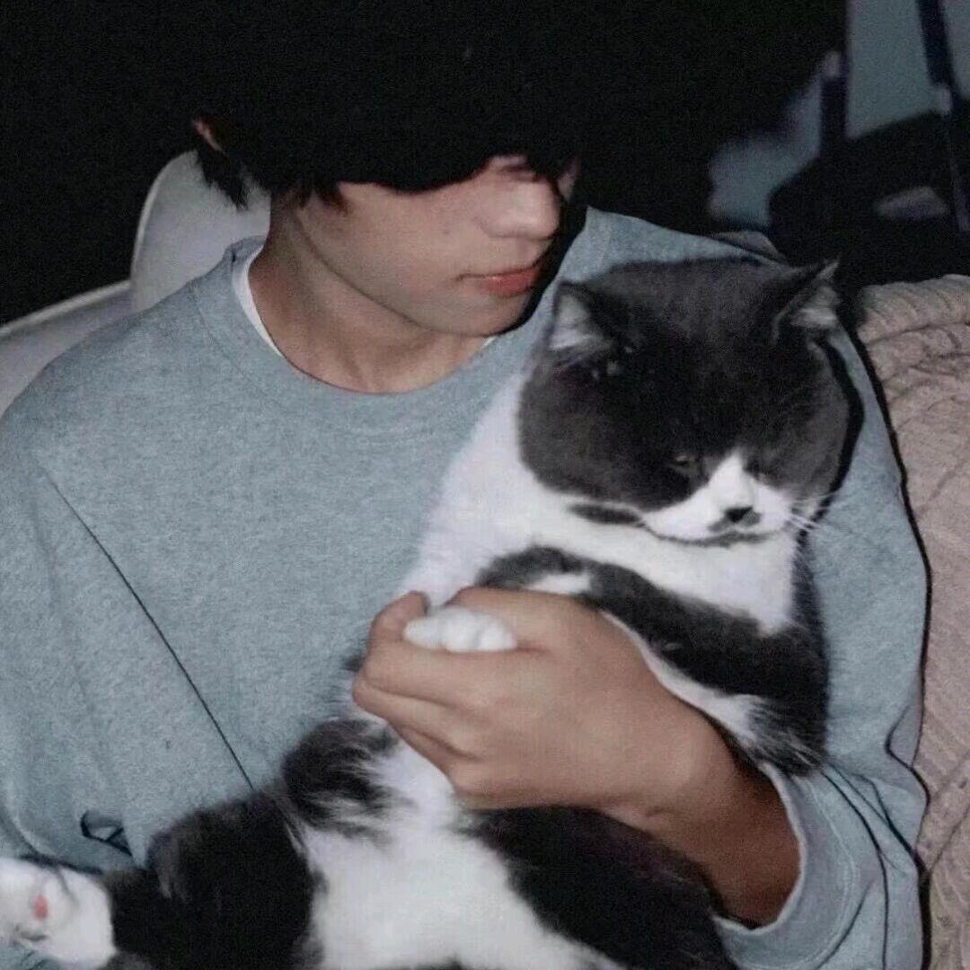 羊🐏