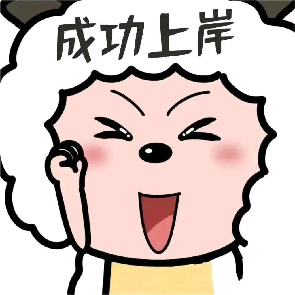下一站，上岸