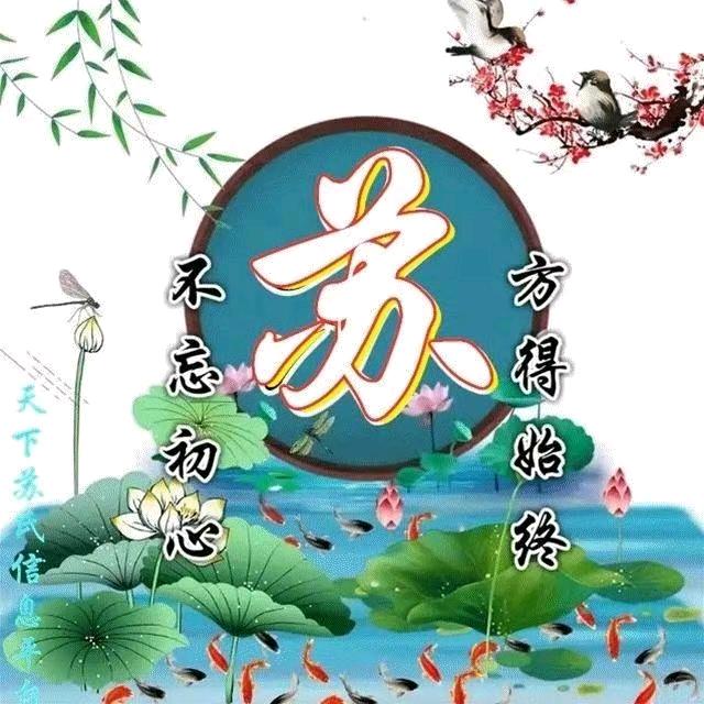 友哥优选