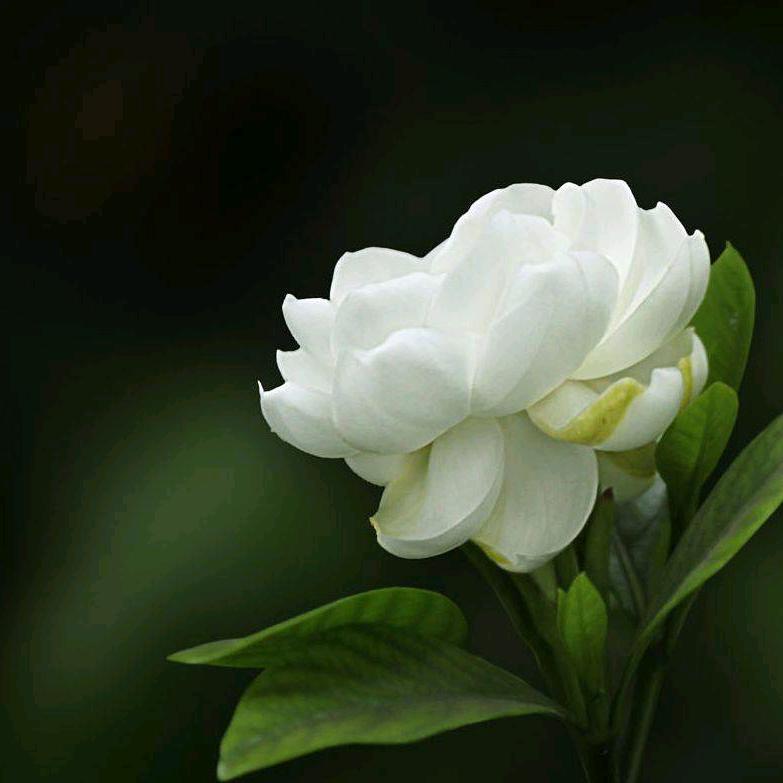 @完美…………人生