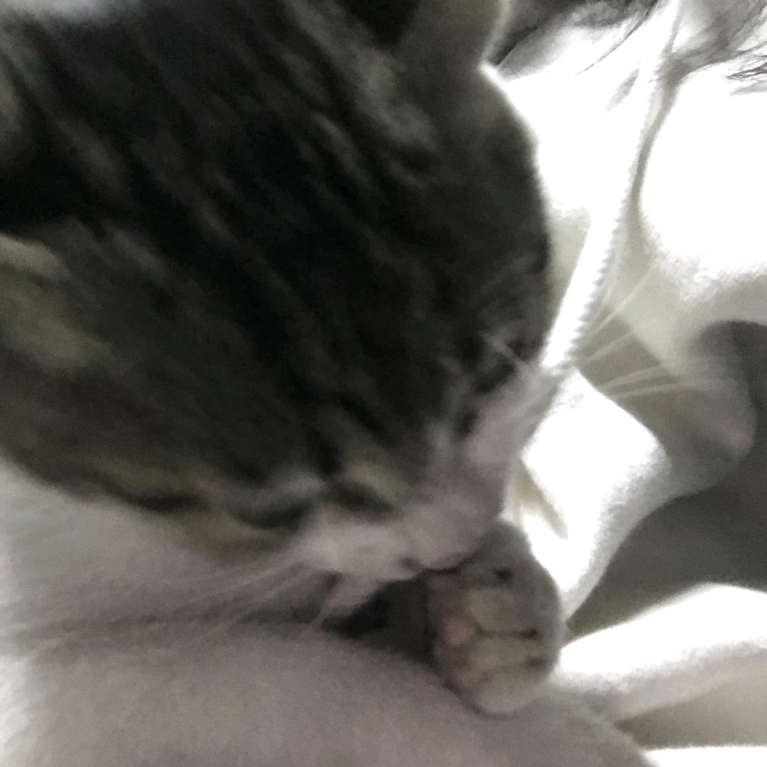 +