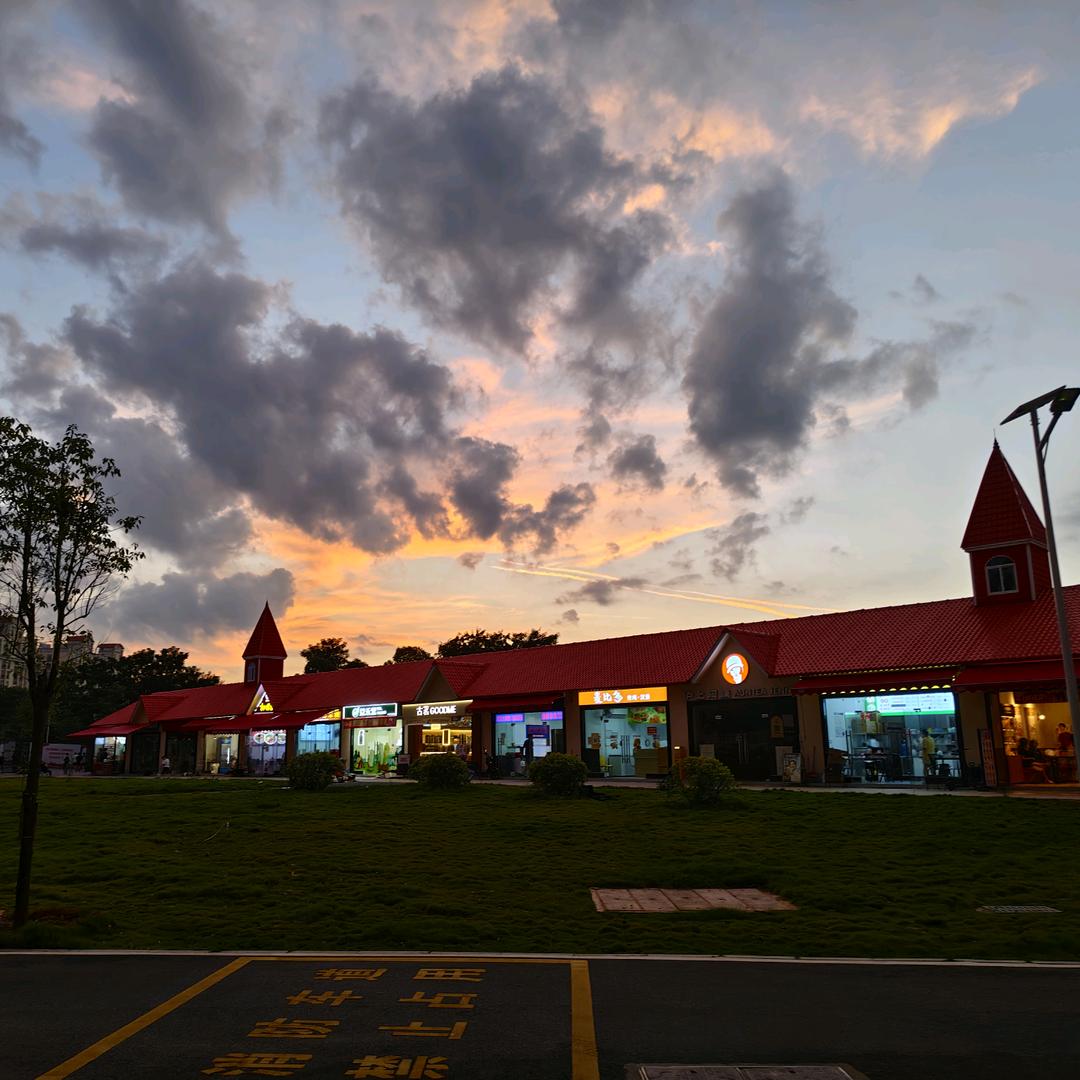 爱跑刀的小红狼