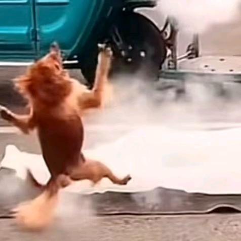 钱包偷偷背着我去当0的那个夜晚