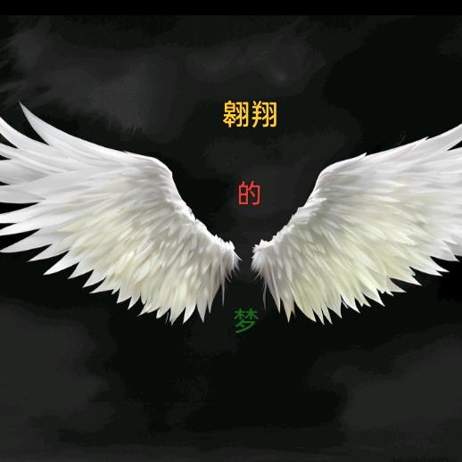 有你财长翅高飞