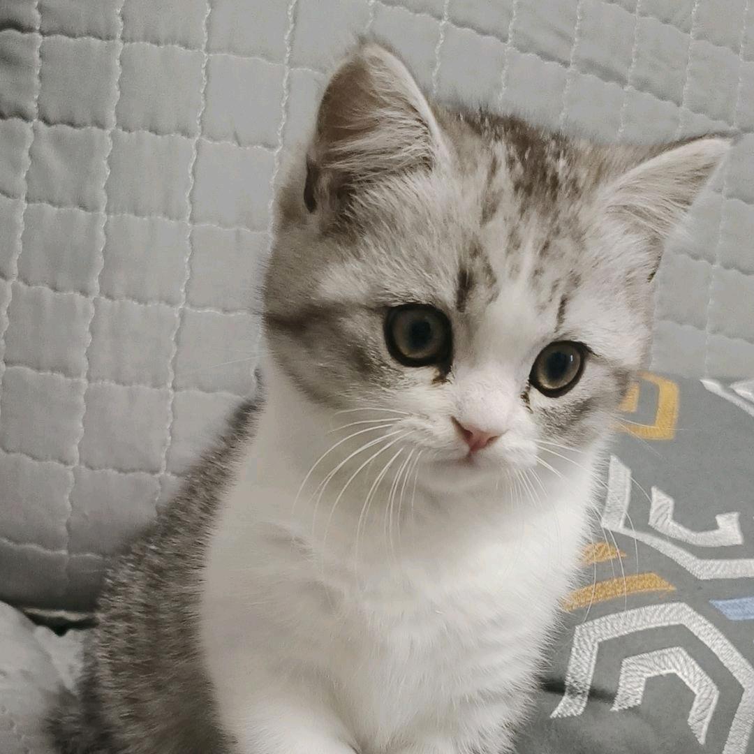 天生受宠♥