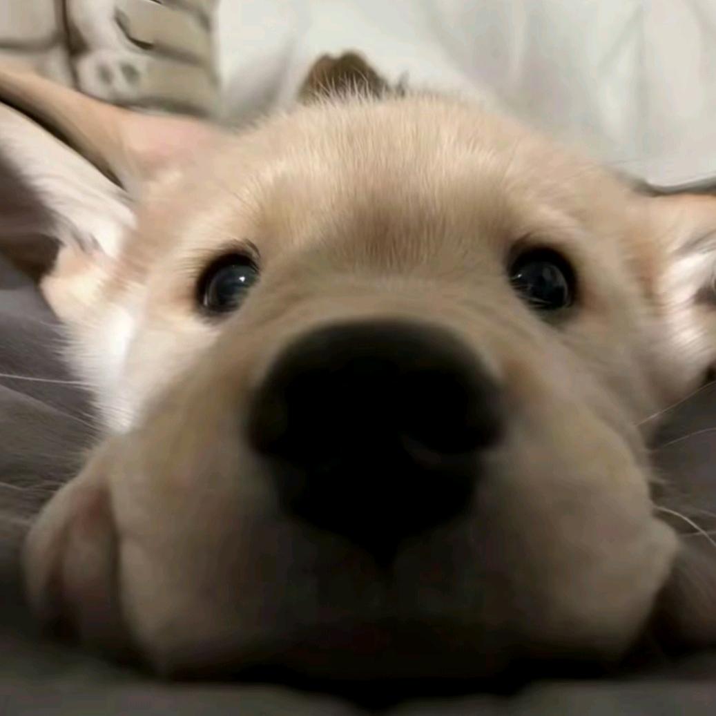 秋意
