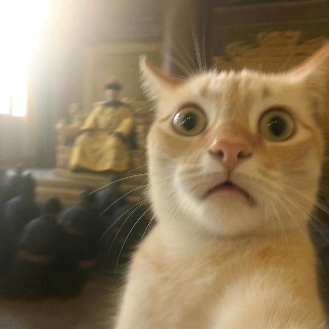 姜明子