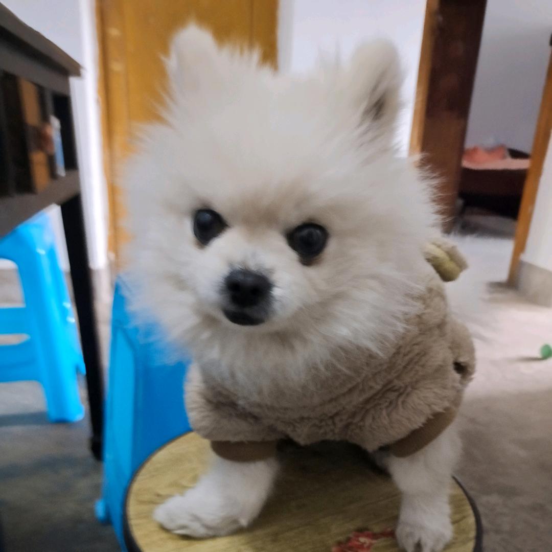漫漫陆起来