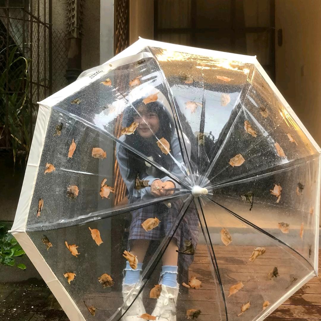 社恐的小美