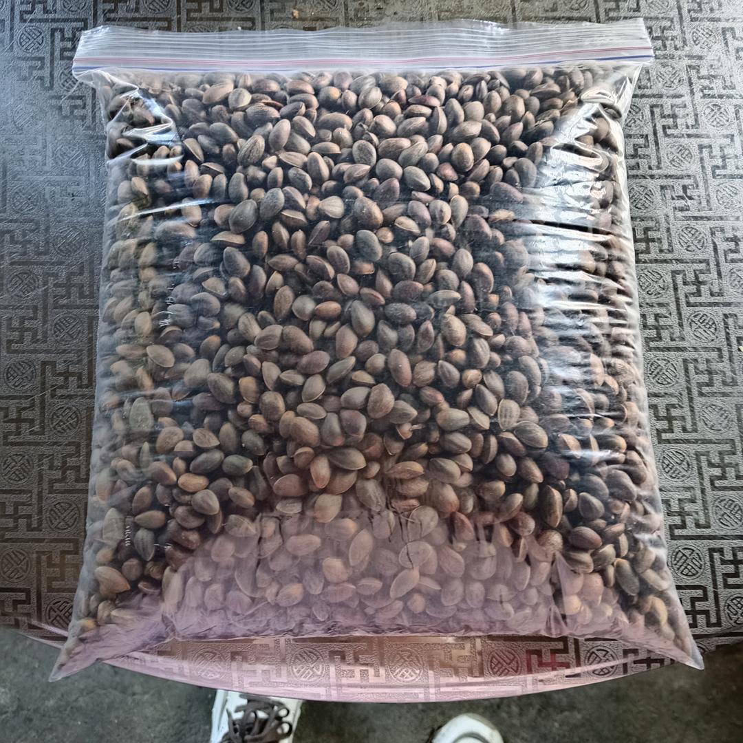 美好的过去