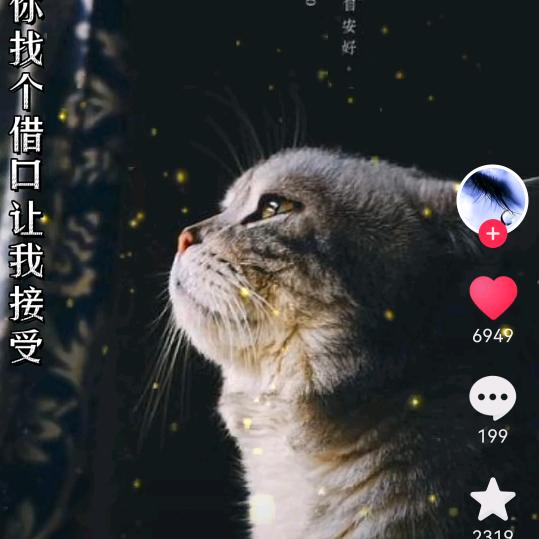 失去的时光