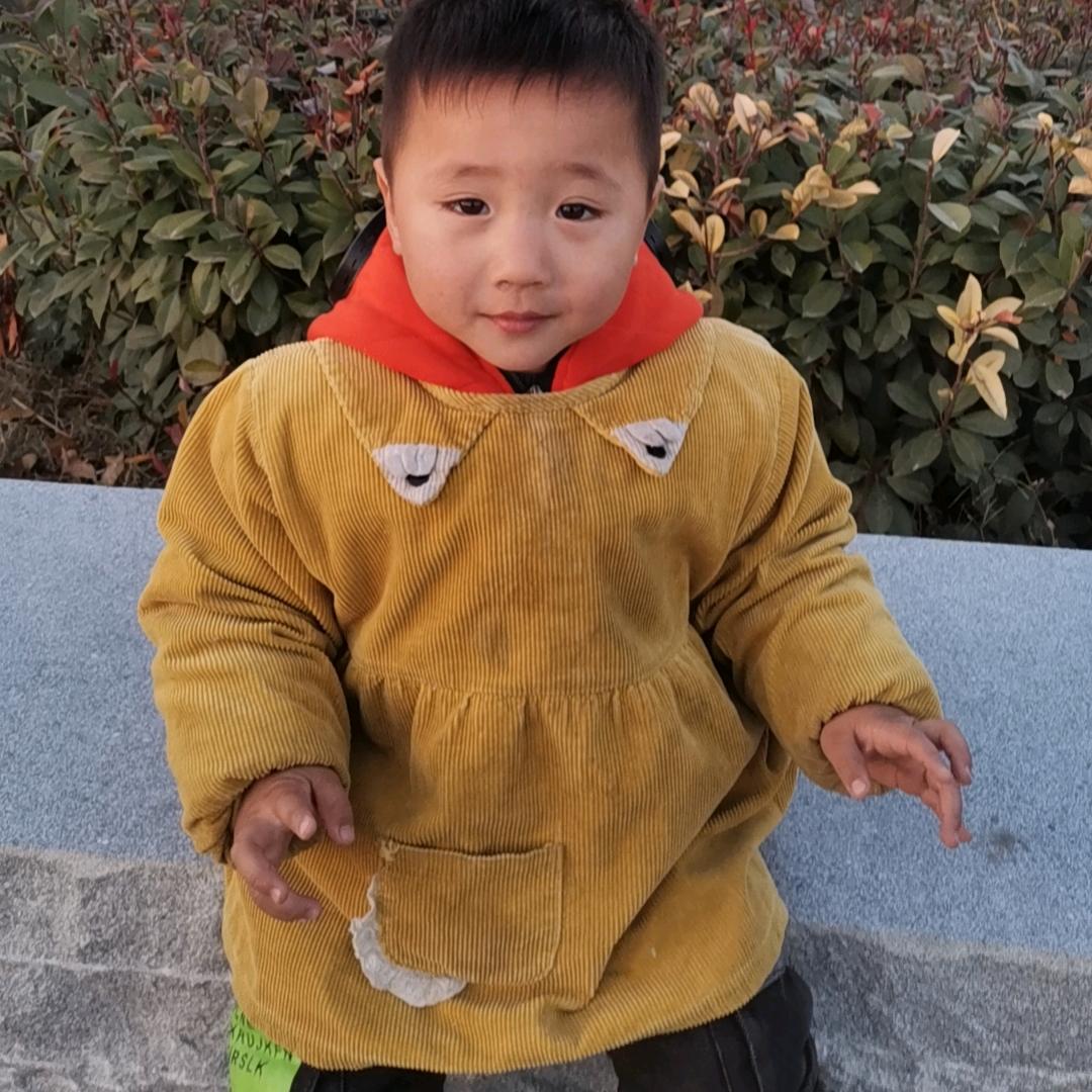 阿伊莎