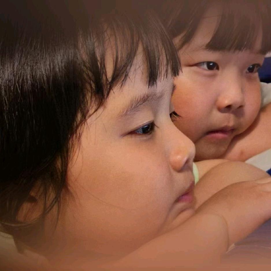 深圳市中源艺园绿化有限公司