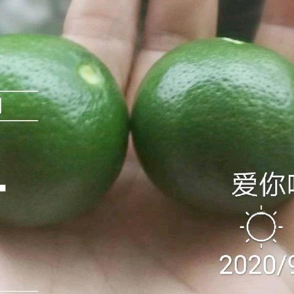 思雨璐