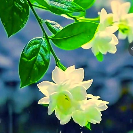 暖心向阳。。🧡ྀི💛ྀི❤️ྀི💖