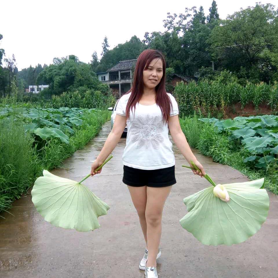 简单快乐