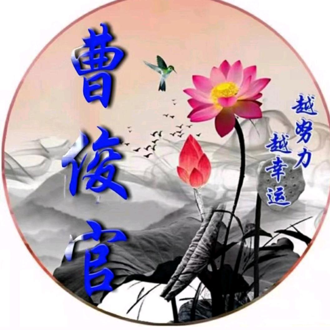 用户273818