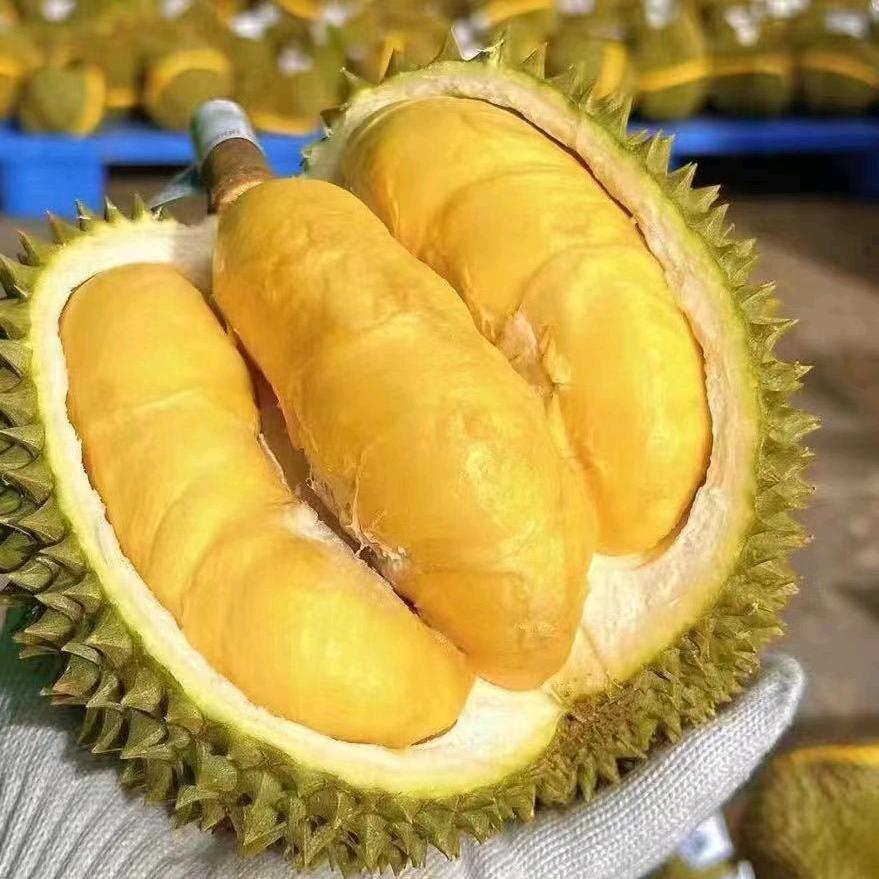 攀果地海布斯卡店