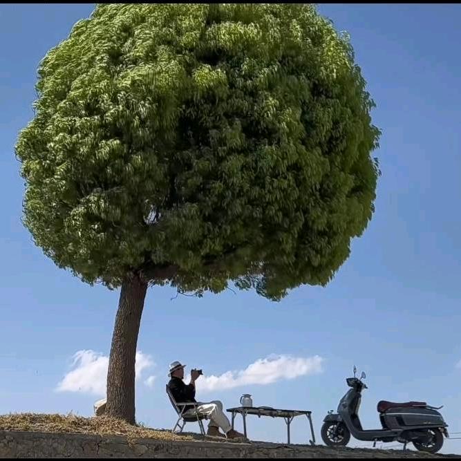 那片海可还宁静