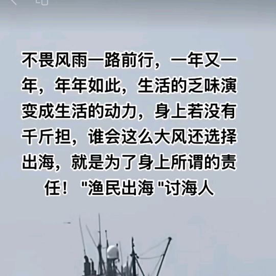 一路前行✨