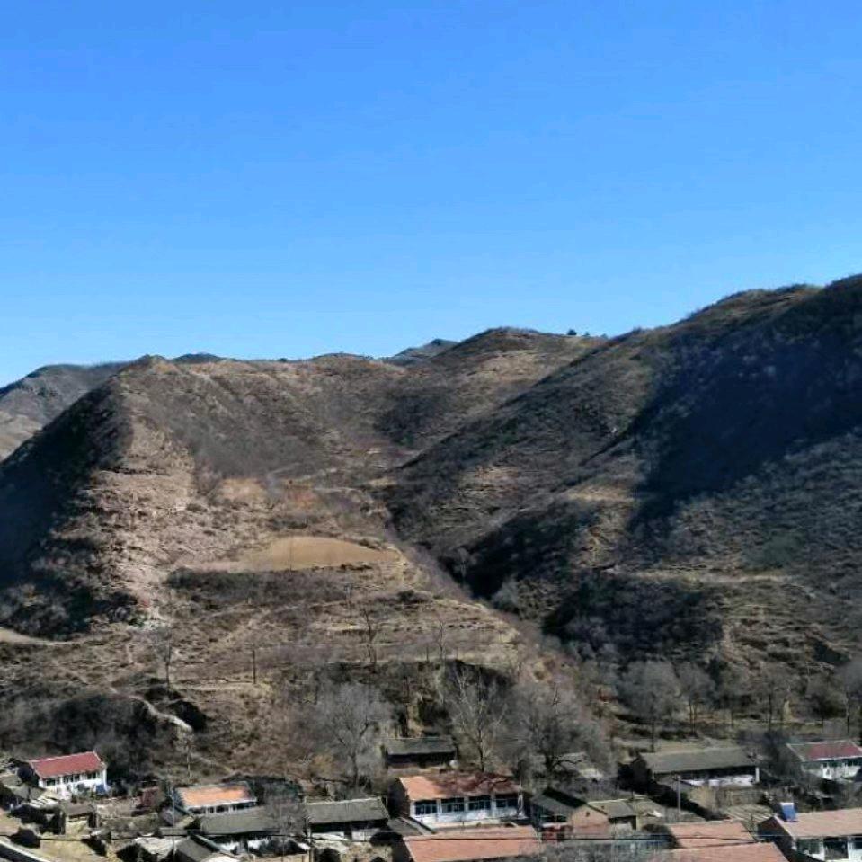 飞翔哥