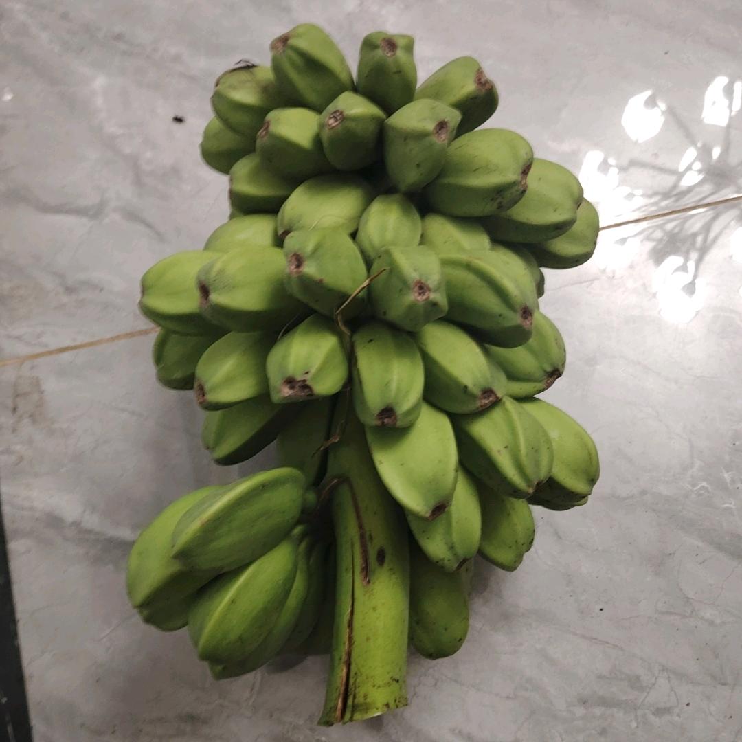 孤独的鹰