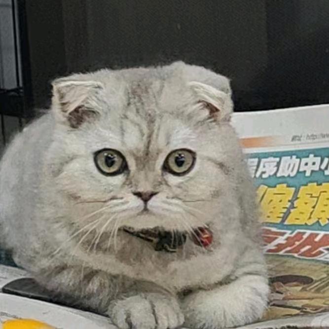 ‘阿明