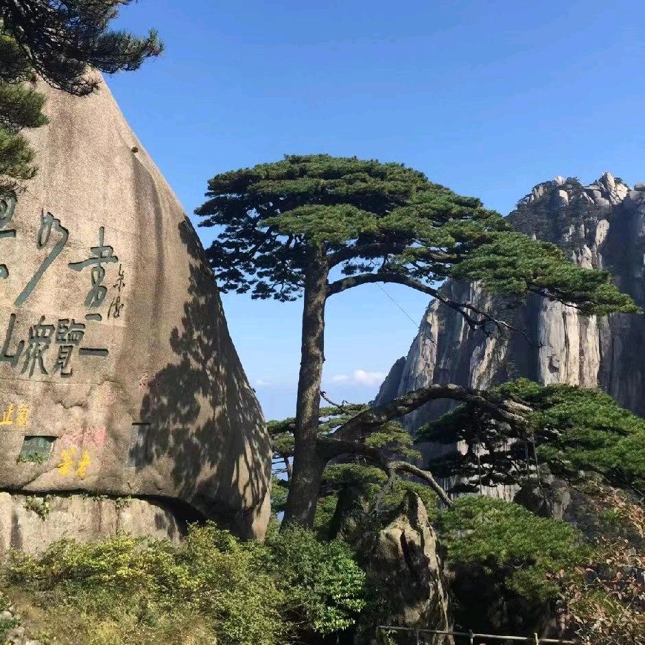 称心如意