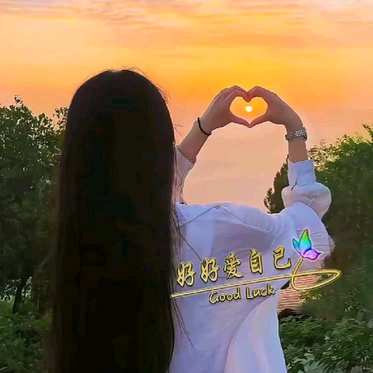 🌻向阳花🌻