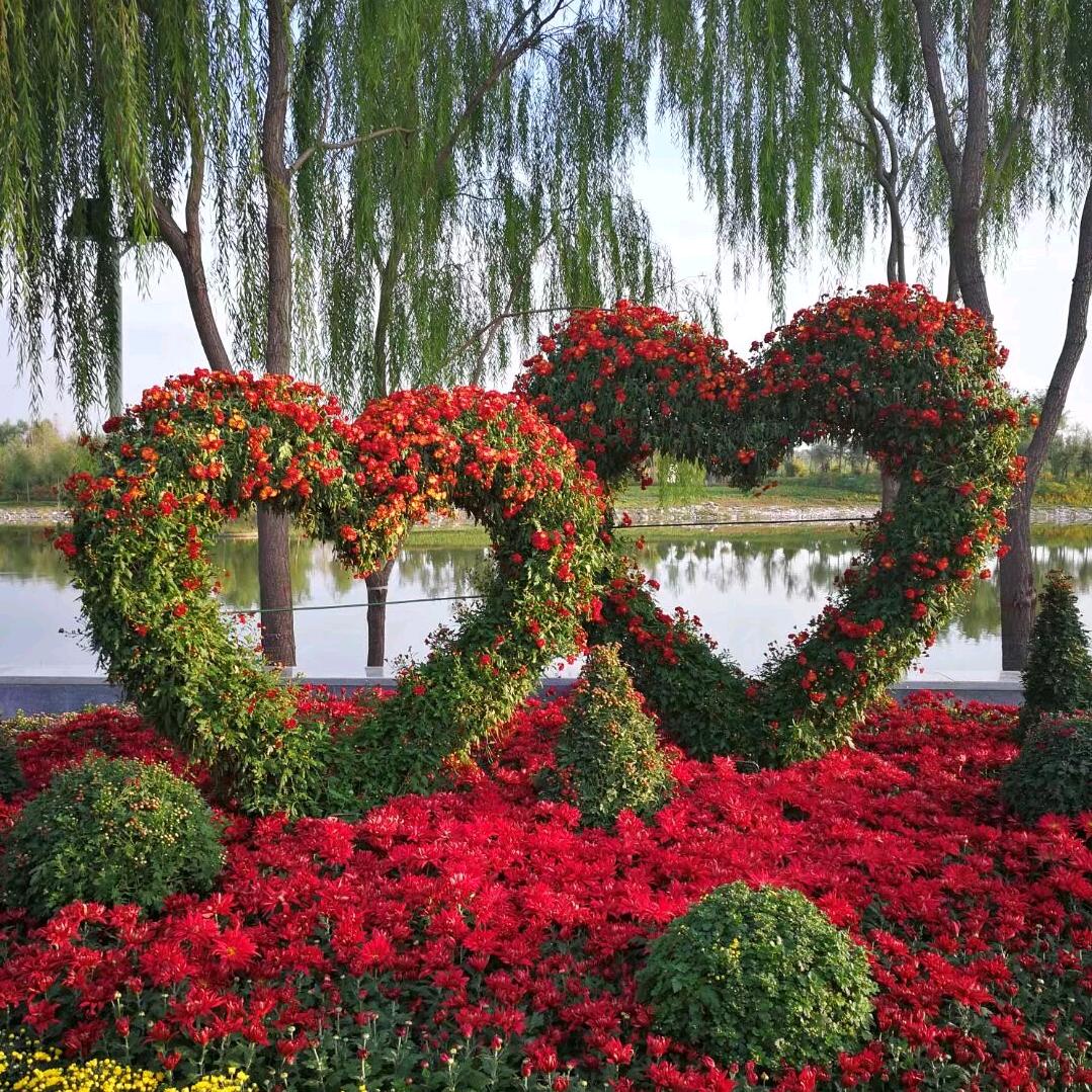 香烟到头都是灰