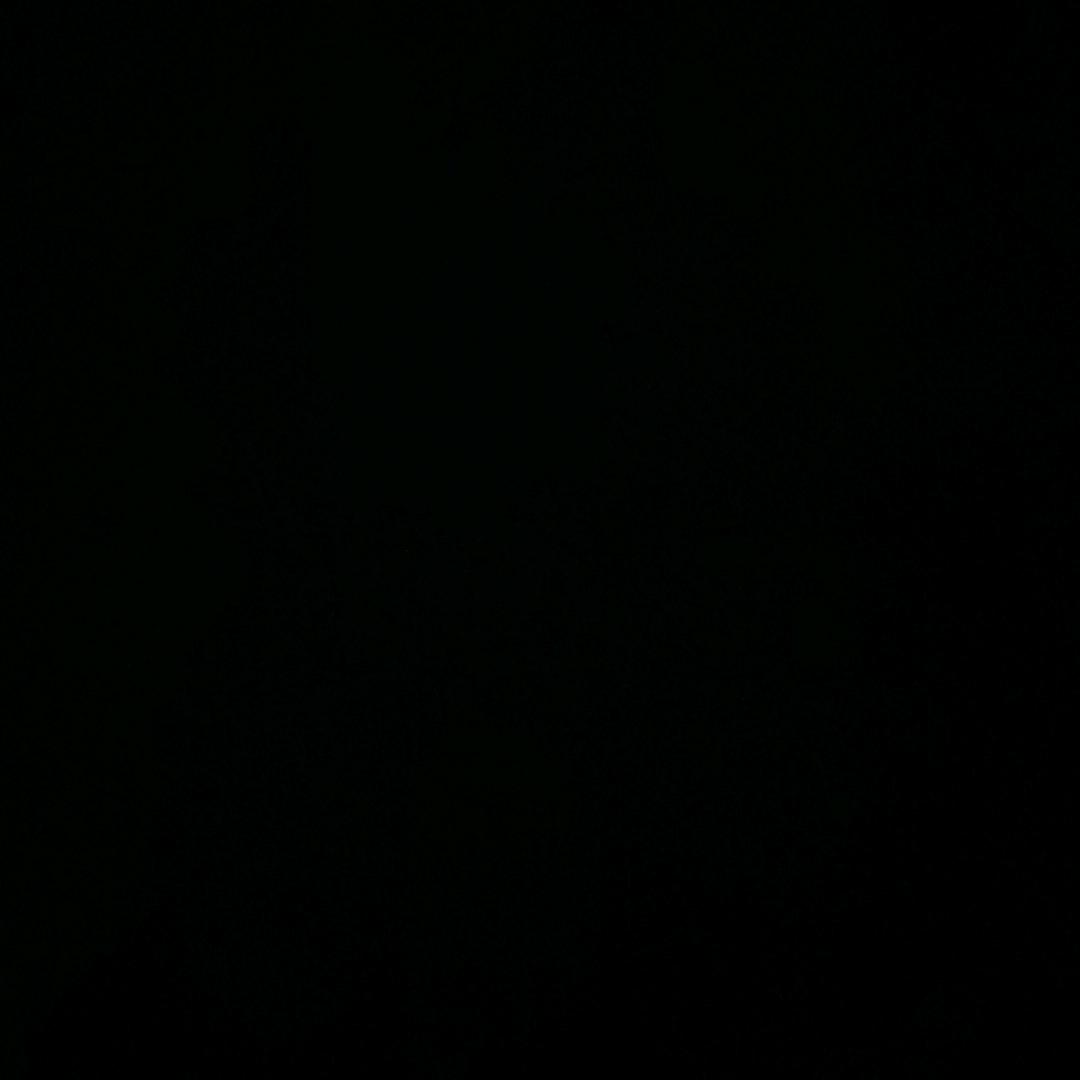 禹美美