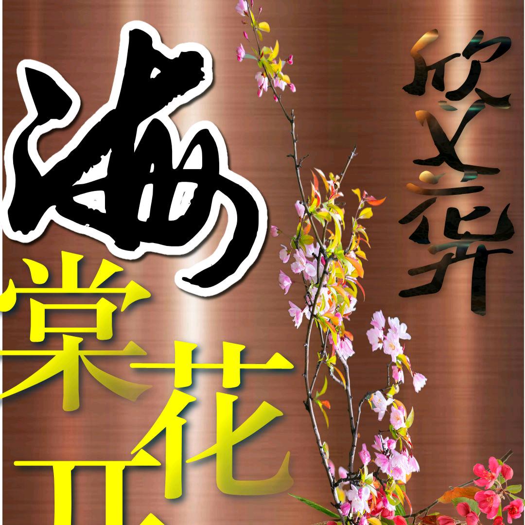欣义花卉盆景