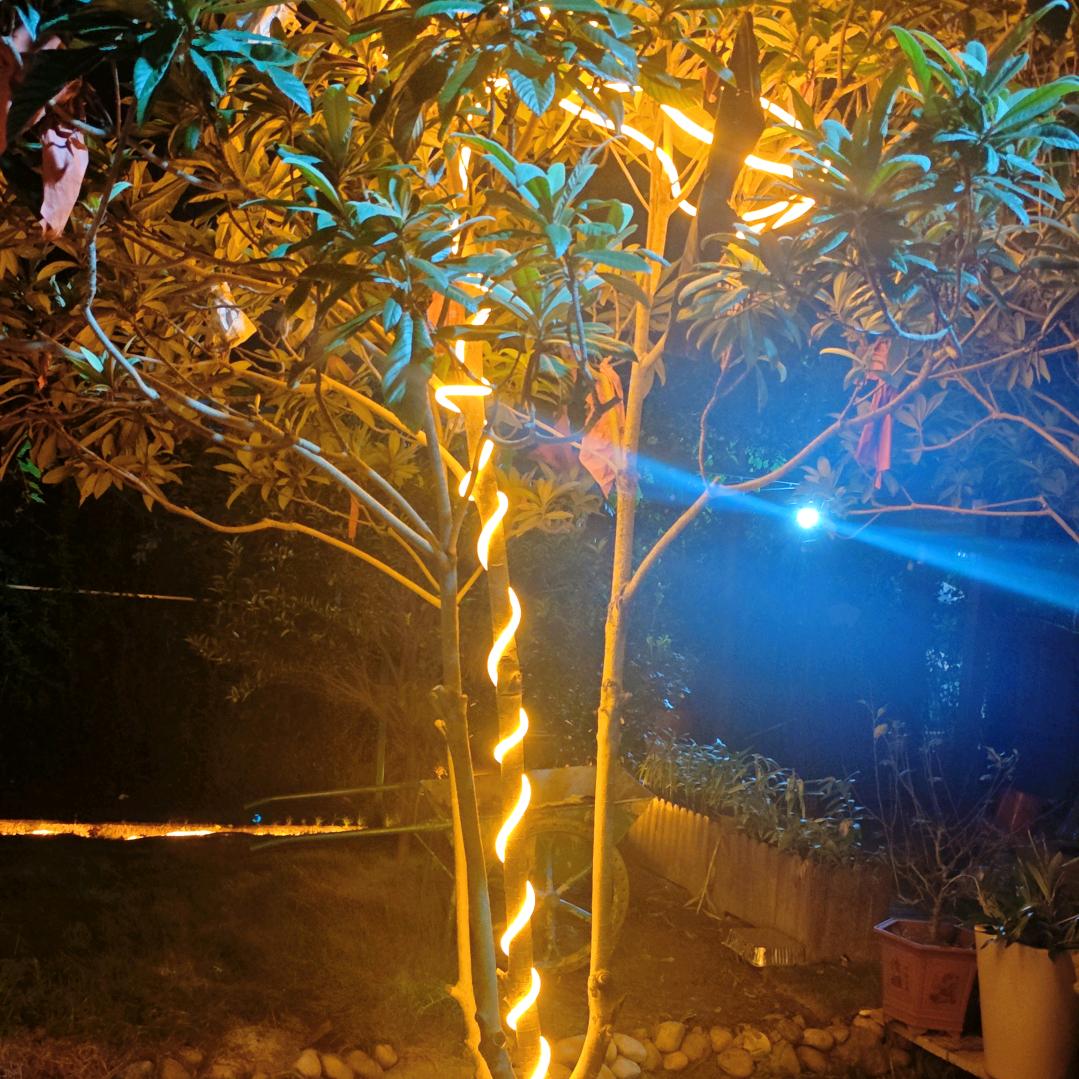 永远的太阳☀️