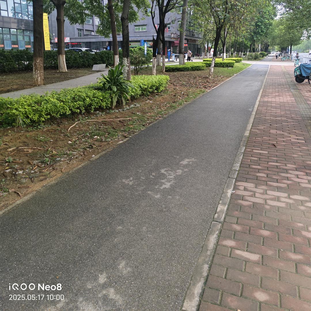 牛大力