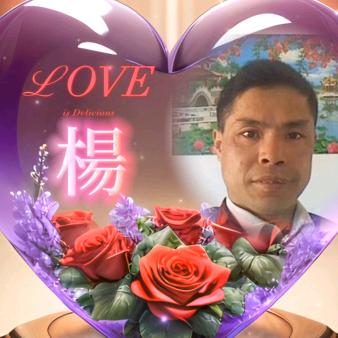 杨柳青青