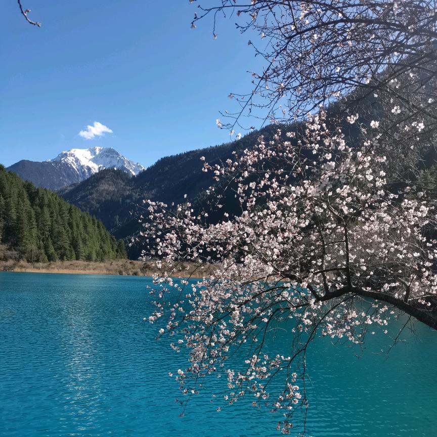 沉默