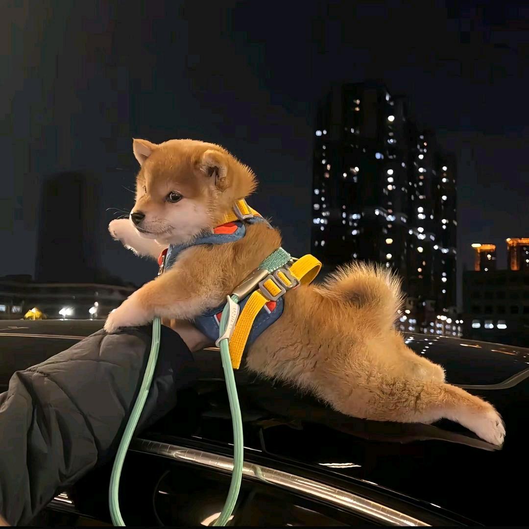 ·恸·