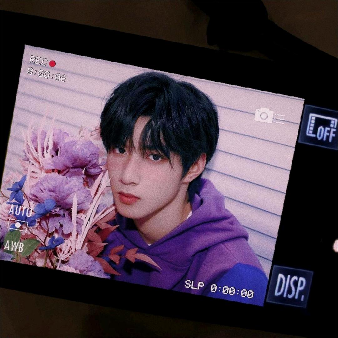 元元の鱼丸（见过院人版）