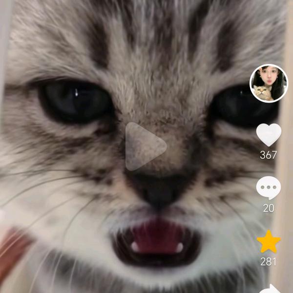 双胞公主👸👸