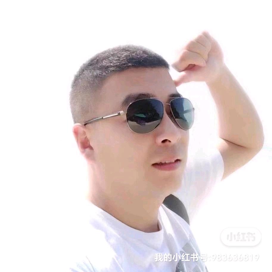 飞鸽无限