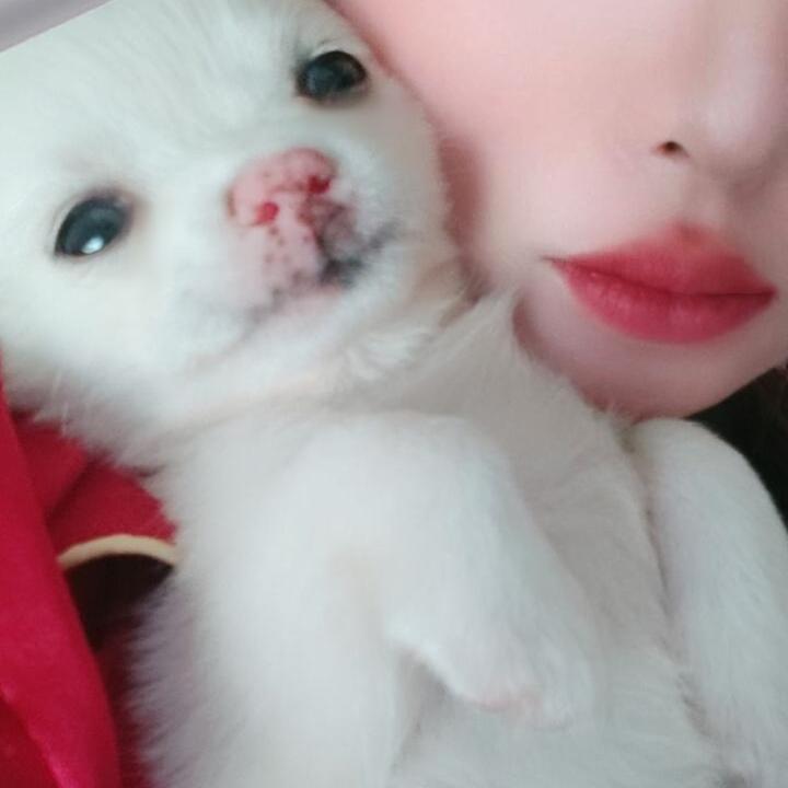 美美哒