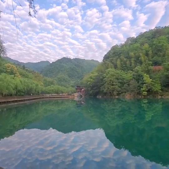 姚法赡的魔幻人生