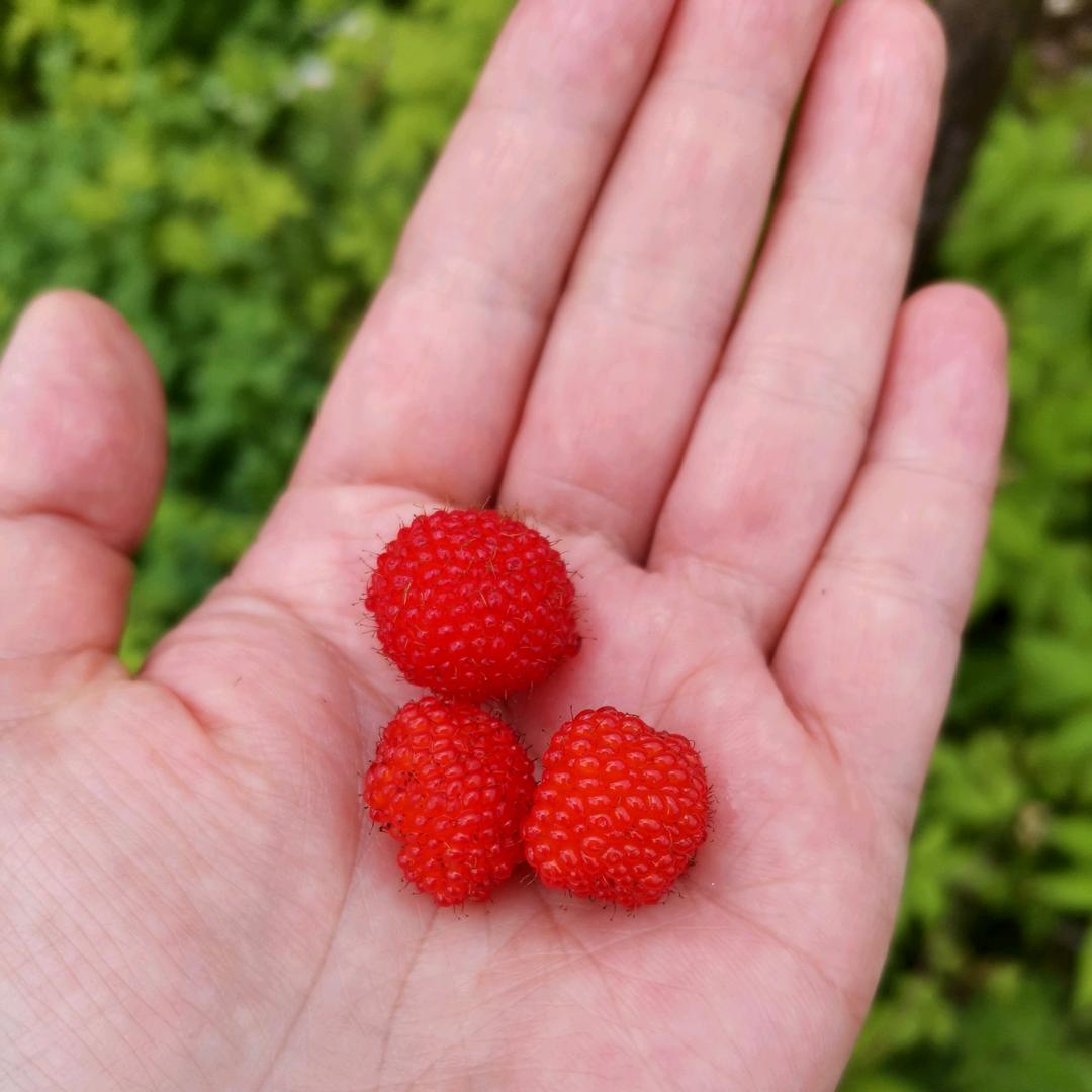 亲爱滴小手指同学